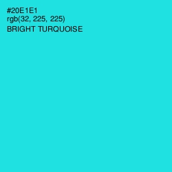 #20E1E1 - Bright Turquoise Color Image